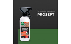 RUST REMOVER  (0,5л) готовый состав